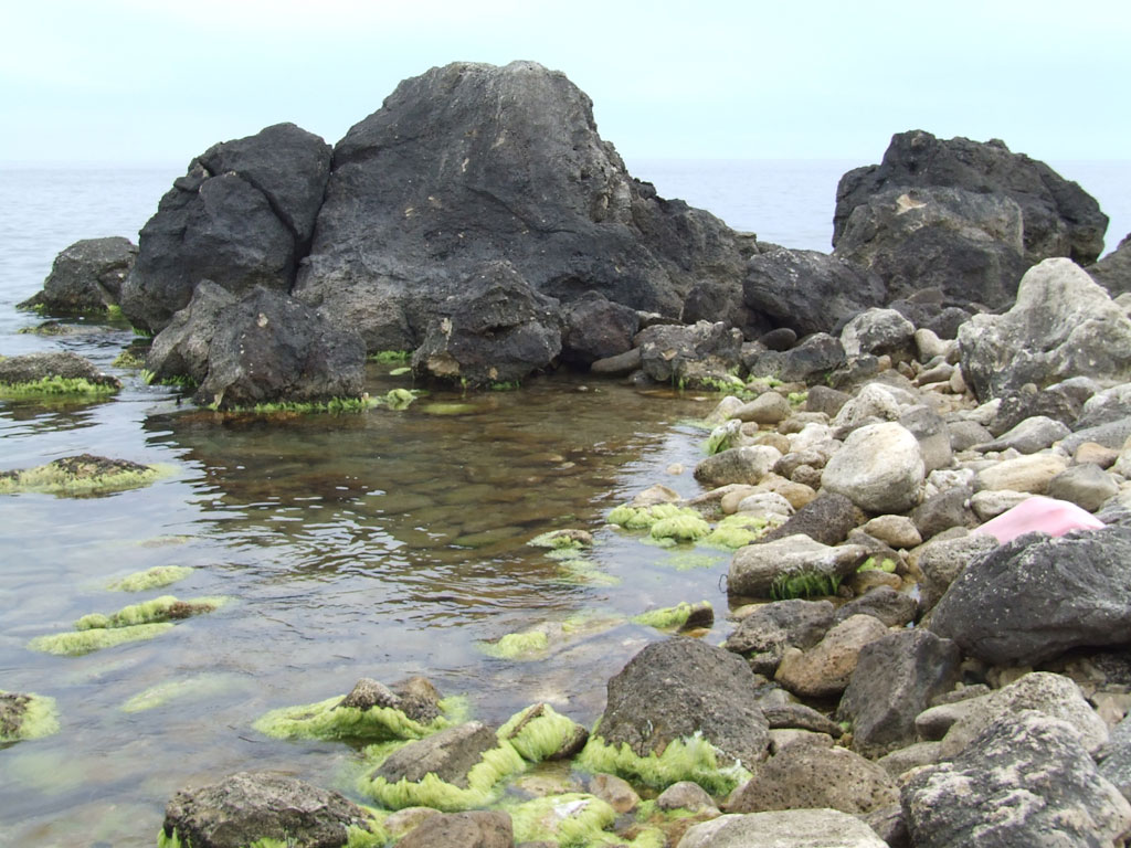 Камни на берегу Чёрного моря