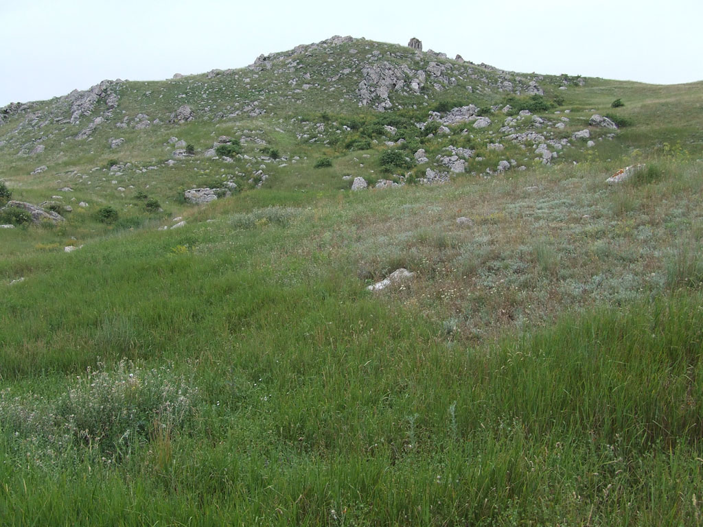 Опукский заповедник, 09.06.2006
