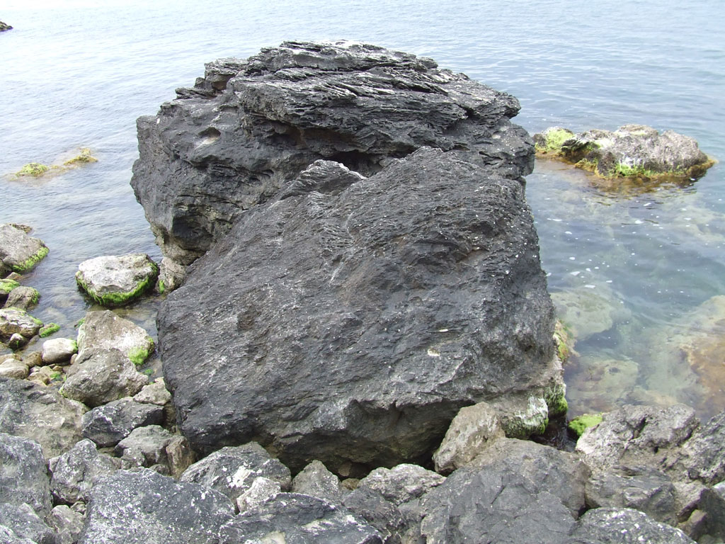 Опукский заповедник, 09.06.2006