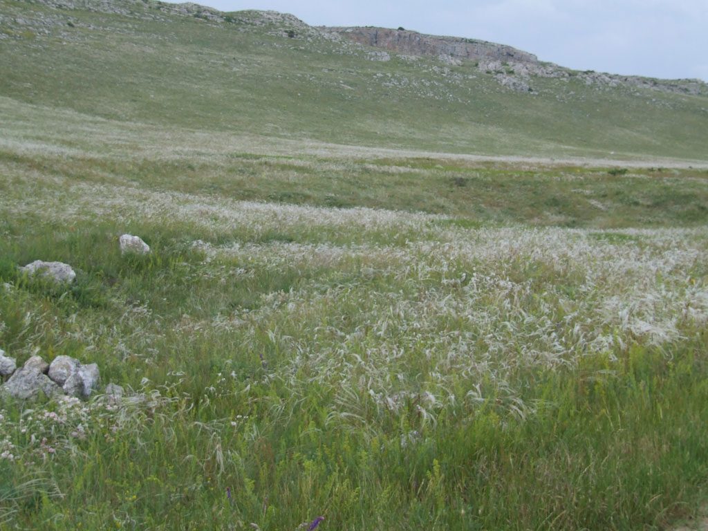 Опукский заповедник, 09.06.2006