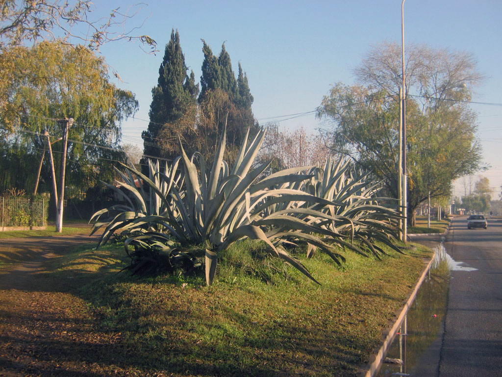 Дорога _Ezeiza-Azul(1)