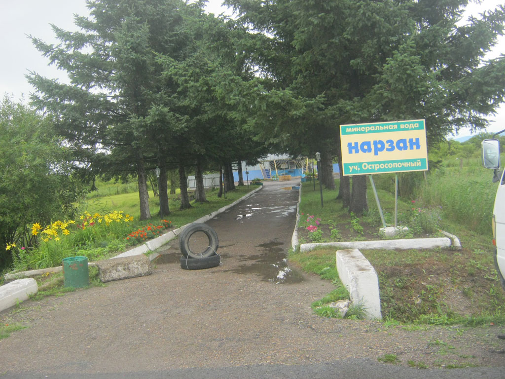 Курорт «Шмаковка», источники нарзанов