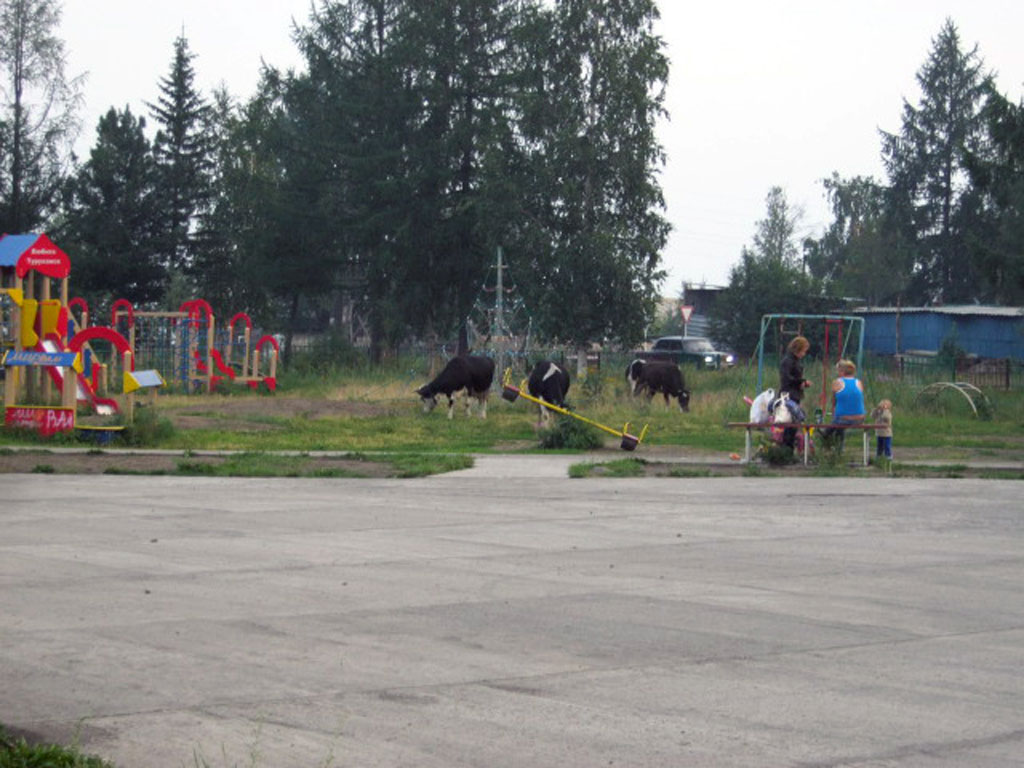 По Енисею(31)_Туруханск(2)