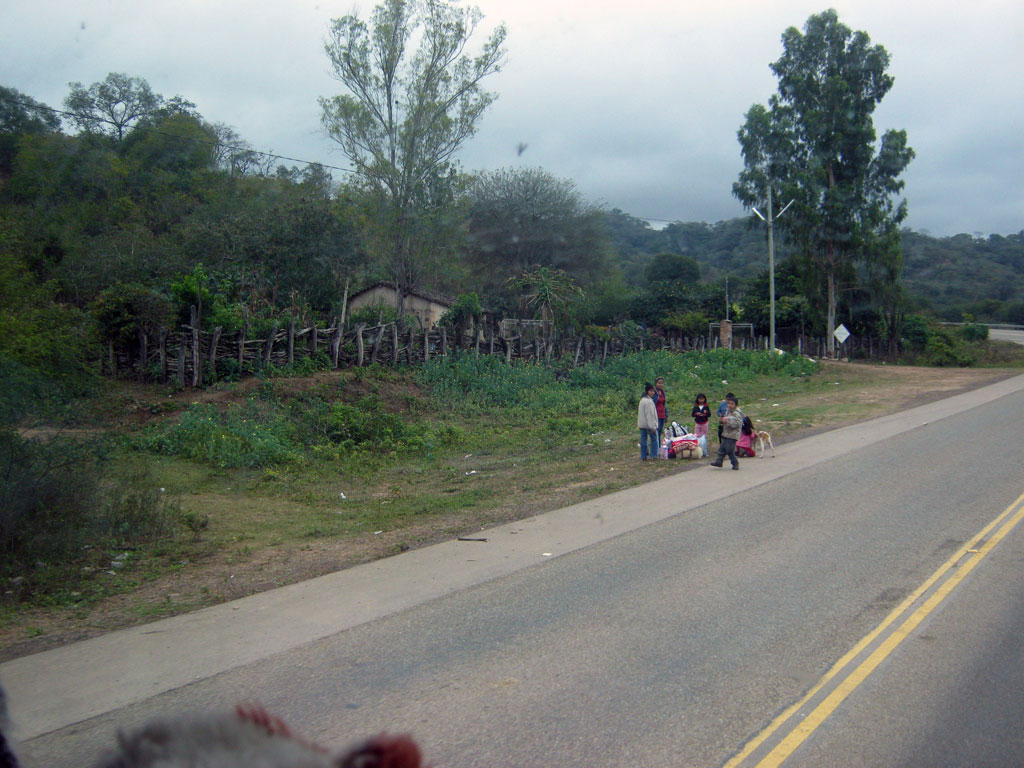 162 IMG 2952b
