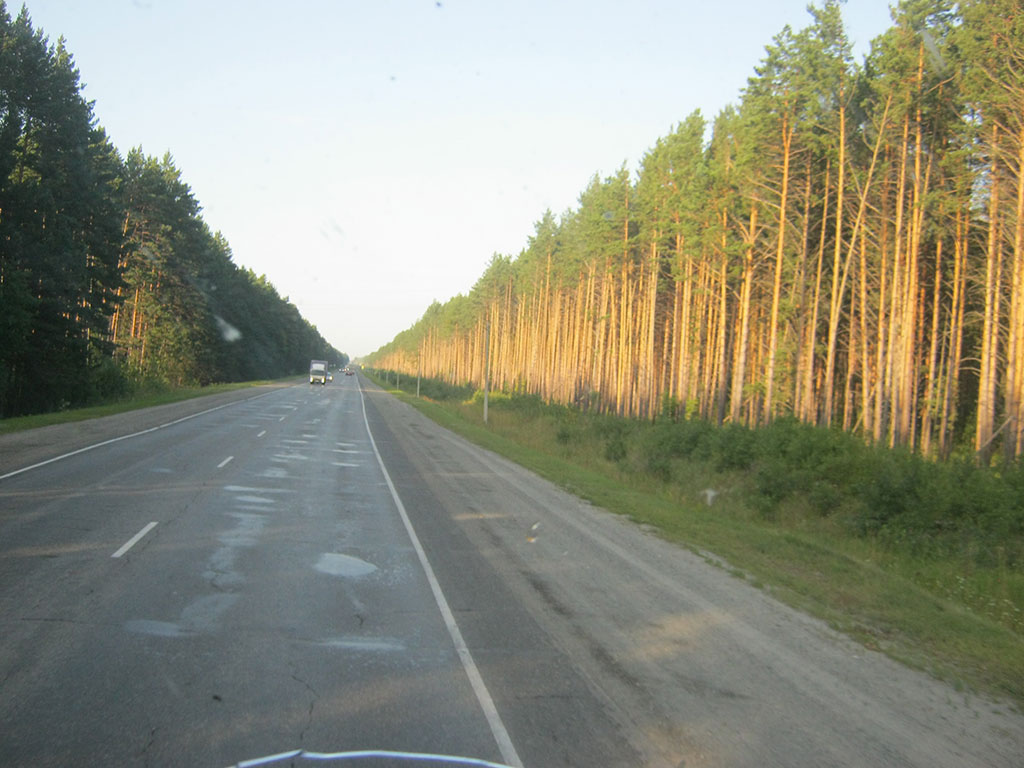 211_Золотистый бор (Томская область)