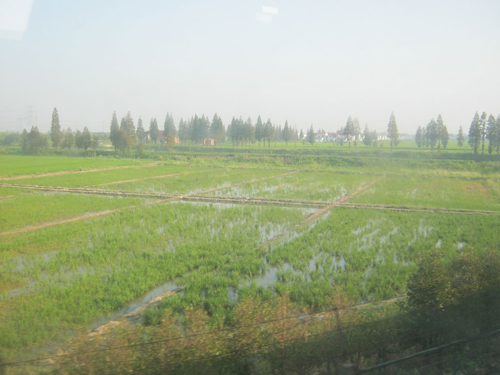 Поля, залитые водой