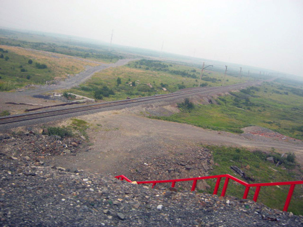 Тундра(14)