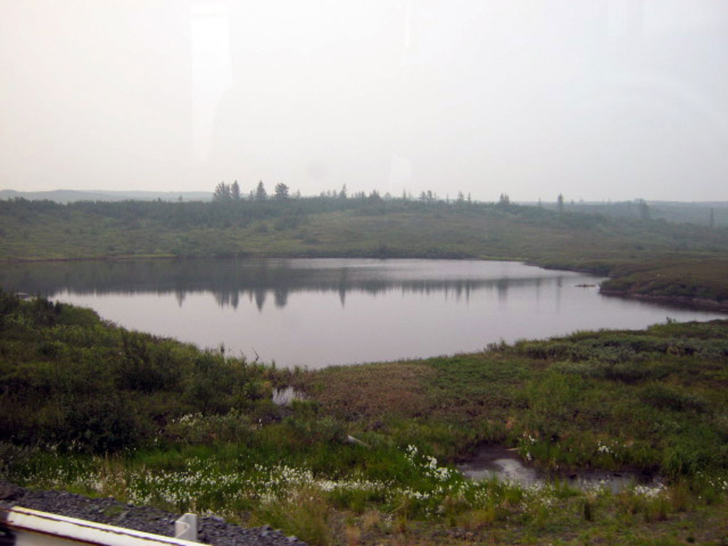 Тундра(22)
