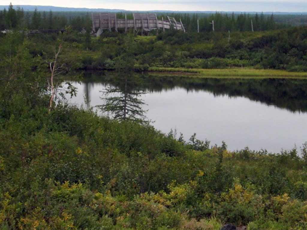Тундра(37)