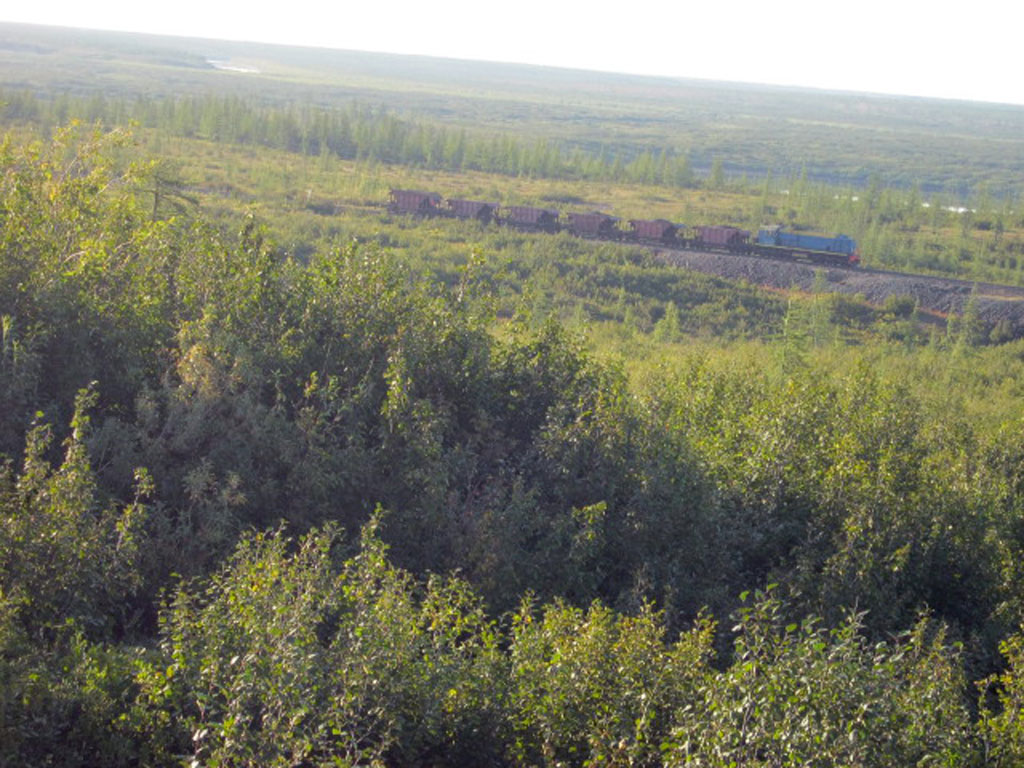 Тундра(38)