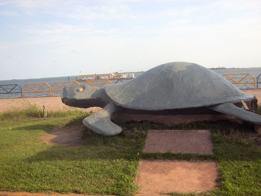 г. Сантарен(1)_Черепаха