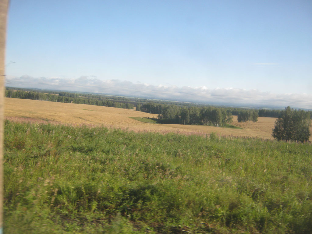 Равнинная лесостепь
