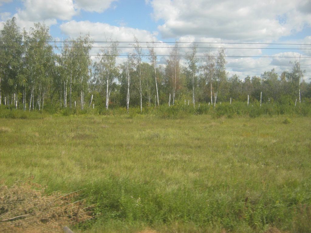 Западно-Сибирская равнина