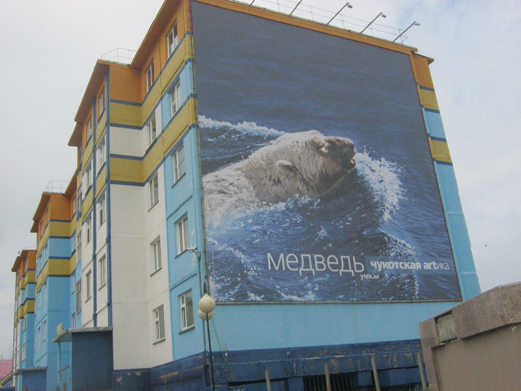 Медведь (умк,ы)